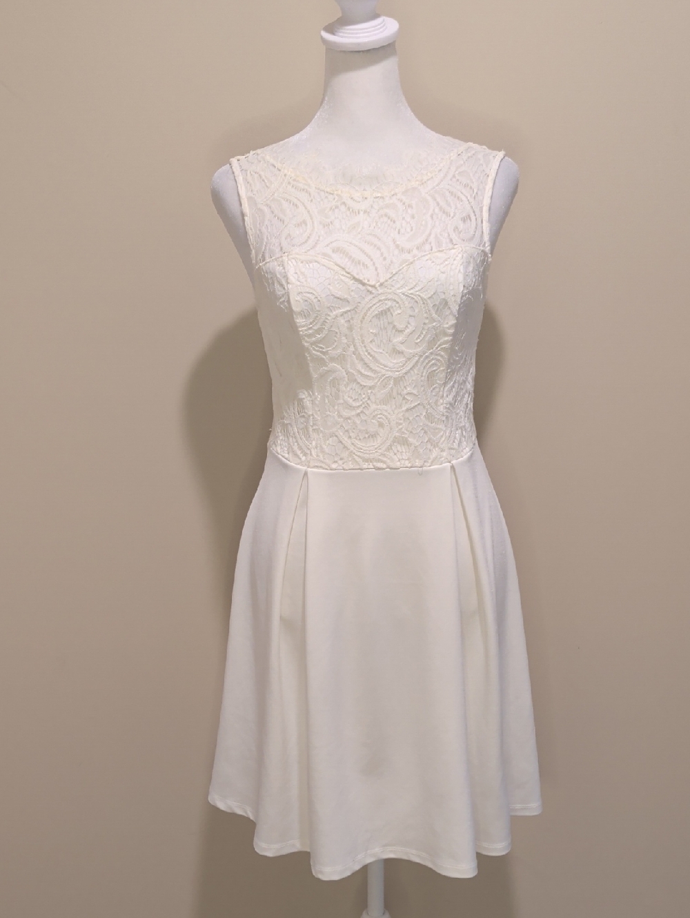 Francesca's Allegra Ivory Pleated Illussion Lace Bodice Mini Dress